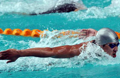 Không bằng lòng, cũng phải bằng mặt