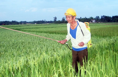 Kỳ lạ người đàn ông "nghiện" thuốc trừ sâu