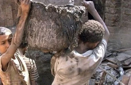 Cứu trẻ em là cứu thế giới 