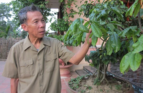 Gặp chiến sĩ từng hai lần truy điệu sống