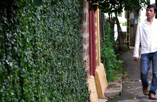 Tác giả của những “bức thư tình” tôn thờ sự sáng tạo