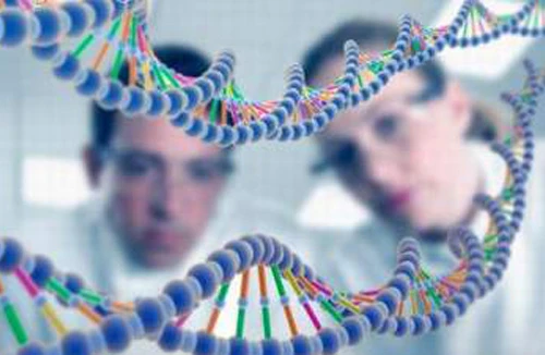 Loài người tiến dần đến... bất tử 