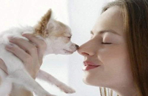 Liệt chi vì ngủ cùng thú nuôi 