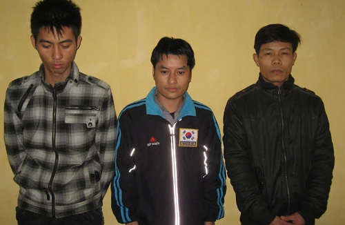 “Tú ông” nuôi gái bán dâm