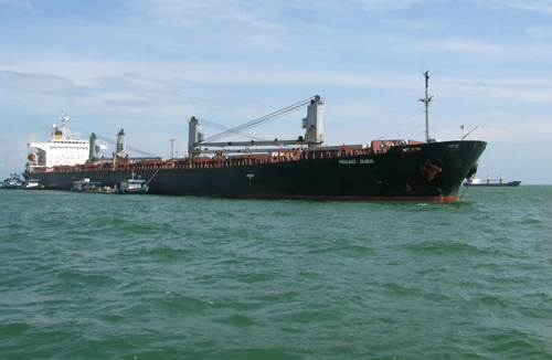 Đầu tư cho đội tàu Vinalines: Trăm nghìn tỷ đồng có ném xuống biển? 