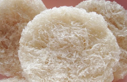 Tiếng chim cũng chìm nghỉm 