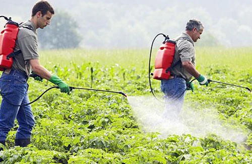 Thủ phạm giấu mặt gây ra 7 loại bệnh tật