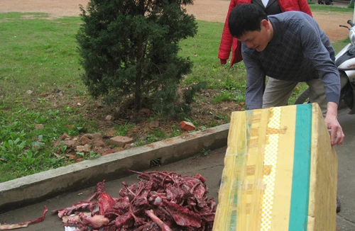 Ác hơn cả dã thú