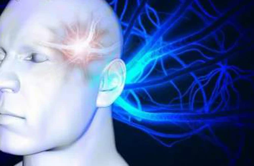 Giác quan thứ 6 kỳ bí hay chuyện thường?