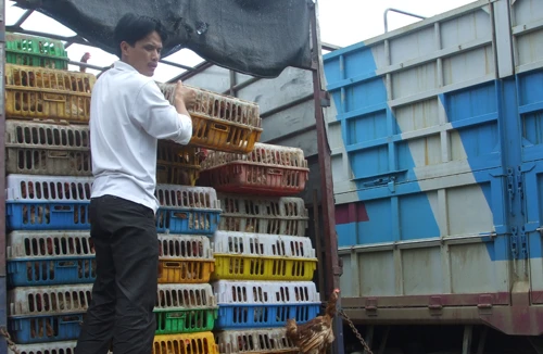 Eo ơi, thế thì sợ nhỉ!