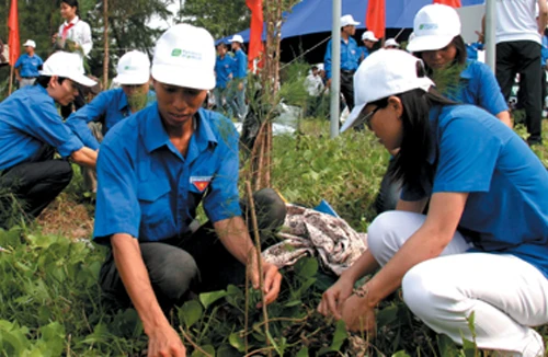 Nhiều hoạt động nhân Ngày môi trường Thế giới 