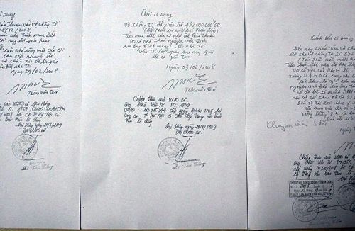 Vụ tranh chấp đất tại huyện Mỹ Đức: Khó hiểu phán quyết của tòa