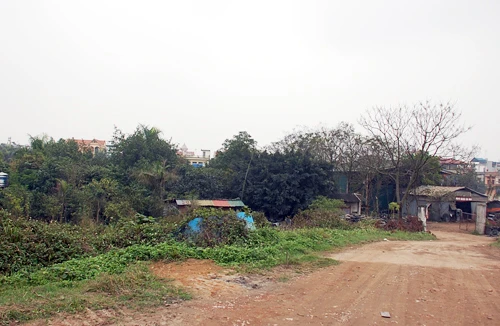 Bất động sản ế ẩm, đất dự án thành… sân bóng 