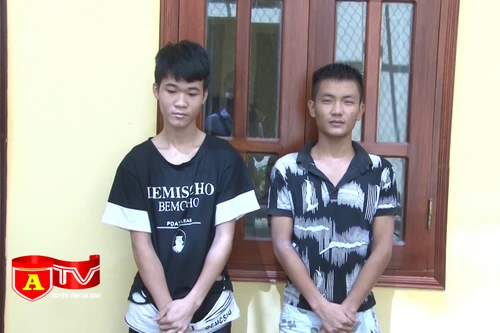 Giả vờ hỏi mua hàng rồi cướp giật tài sản