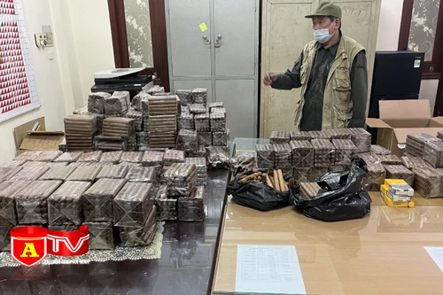 Phát hiện gần 8500 điếu xì gà nhập lậu