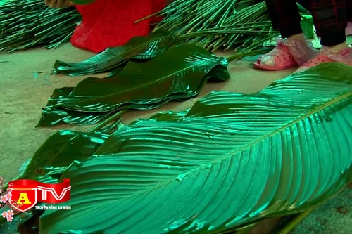 Ngày mùa vui ở làng lá dong Tràng Cát 
