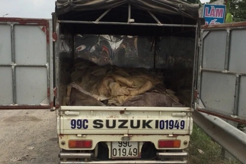 Thu giữ hơn nửa tấn mỡ thối chuẩn bị vào nhà hàng