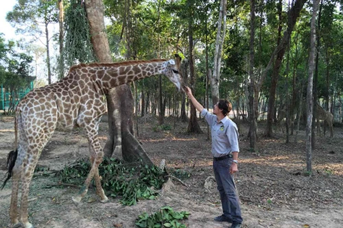 Thông tin hàng ngàn động vật chết ở Vinpearl Safari là sai sự thật