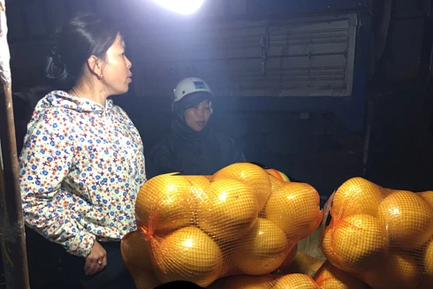 Bưởi lạ thâm nhập thị trường Hà Nội