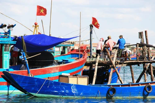  Vụ cá chết hàng loạt: Triển khai gói tín dụng 1.500 tỷ đồng hỗ trợ ngư dân 