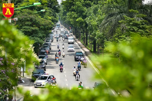 "Giải nhiệt" ngày nắng nóng dưới bóng cây xanh ở Hà Nội