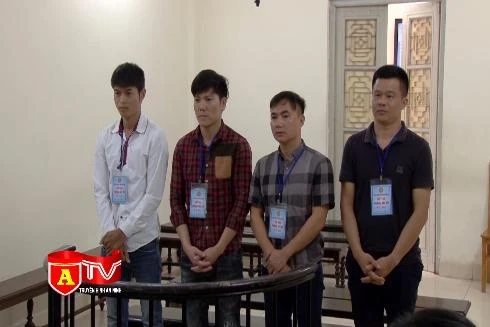 Thu giữ hơn 400kg ngà voi trên "xế sang"