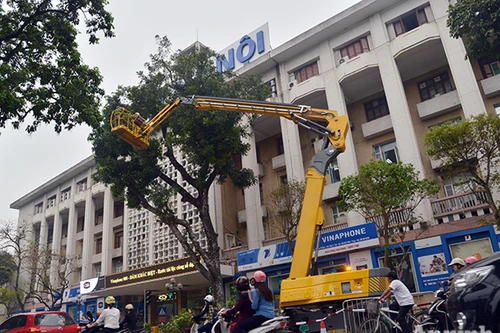 Hà Nội triển khai xe nâng tự hành cao 32m để cắt tỉa cây xanh