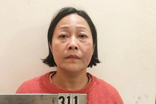 Cựu Phó Giám đốc Công ty Đức Mạnh giao dịch thuế hàng trăm tỷ đồng như thế nào?