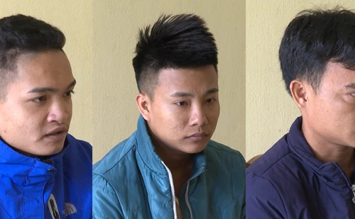 Nghi án về đường dây lừa đảo, kiếm tiền tỷ nhờ bán ‘lan đột biến’…gắn keo 502