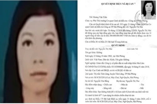 ‘Biệt tích’ cùng hơn 300 tỷ đồng, nữ giám đốc công ty Mai Lâm bị truy nã