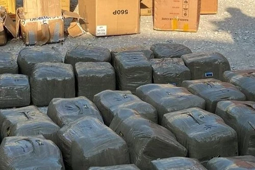 Phát lộ hơn nửa tấn cần sa ép thành bánh giấu trong container
