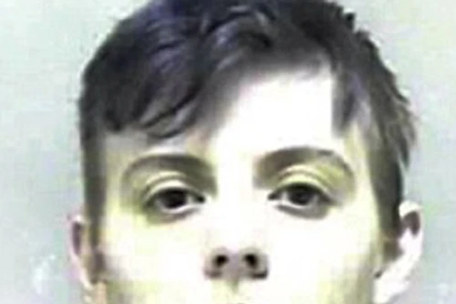 Giả trai, lừa quan hệ tình dục với nữ sinh