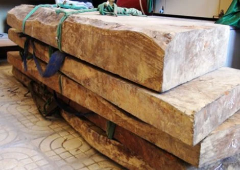 Vụ hỗn chiến cướp gỗ sưa, đã rõ 11 người đốn hạ