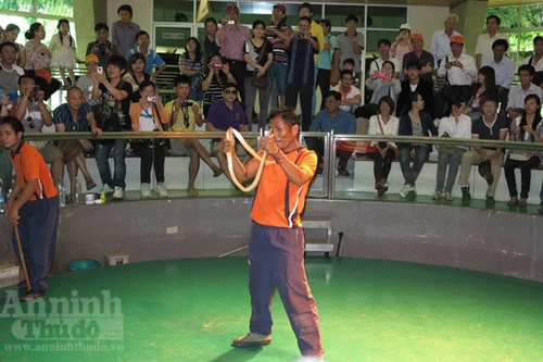 Người Việt tràn ngập tại các khu du lịch Thái Lan