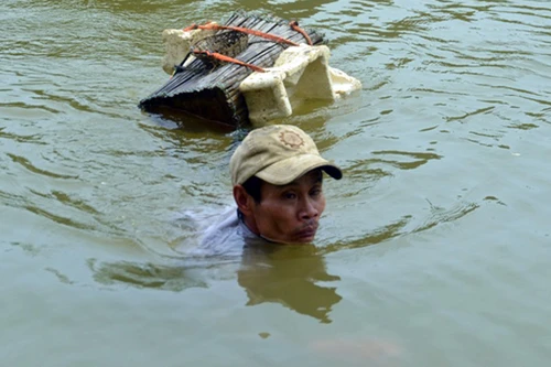 Anh Vận mù có biệt tài “sát cá”