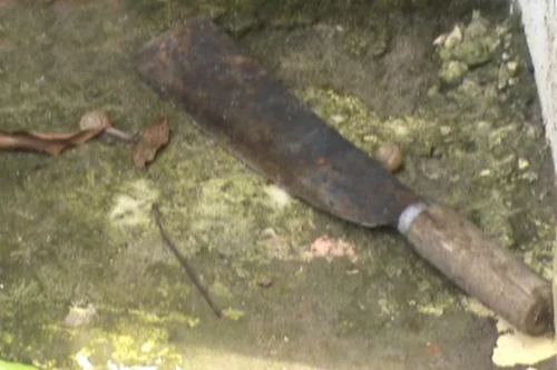 Tìm thấy dao gây án của kẻ hiếp, giết trẻ em