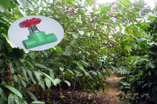 Em vật chết anh, rồi "đền bù" 15 triệu cho chị dâu