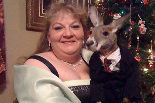 Người phụ nữ nuôi Kangaroo như con