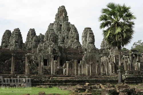 Chuyện những con bò trắng và cây thốt nốt (P1)