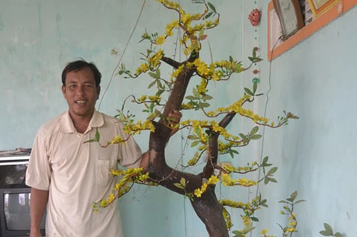 Gặp người có được cây phong ba ở Hoàng Sa