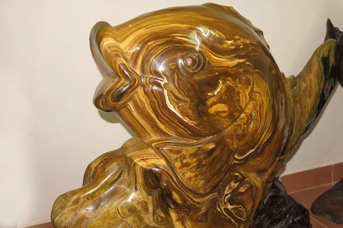 Chiêm ngưỡng “Cá chép vàng vân ngọc thạch” tuyệt đẹp