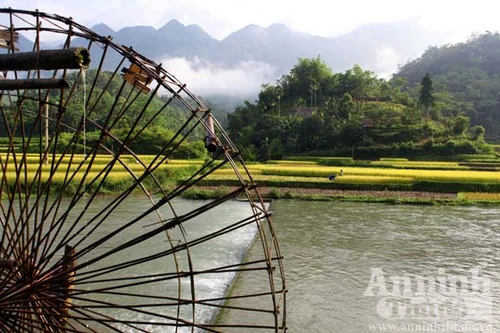 Gạt cơn “bão trắng”
