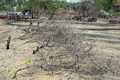 Cha ăn mặn... cha khát
