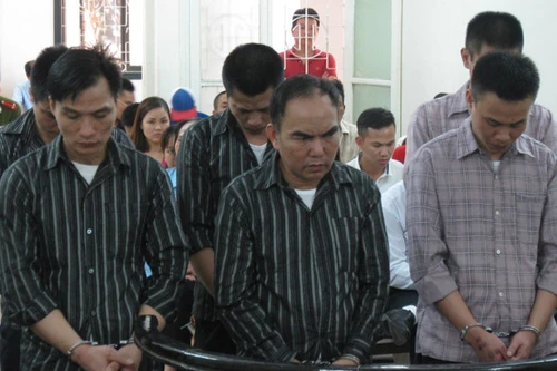 Ổ nhóm trộm cắp gỗ sưa bị phạt tù đích đáng