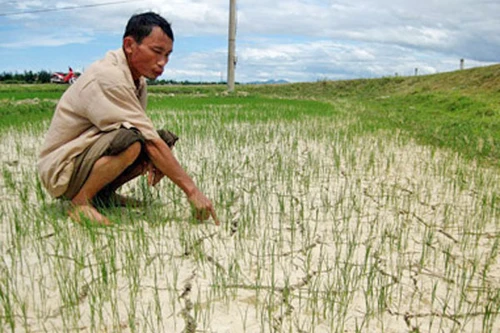 Không để người dân bị đói, khát do hạn hán