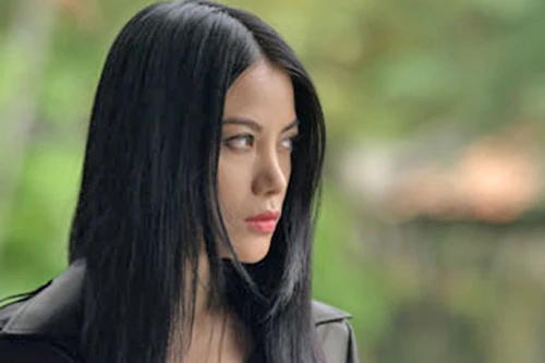 Trương Ngọc Ánh sản xuất phim hành động