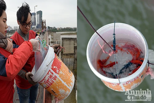 Xem "phương tiện" đặc biệt đưa cá chép xuống sông tiễn ông Táo