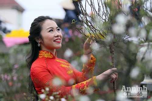 Chợ hoa Hàng Lược vào xuân