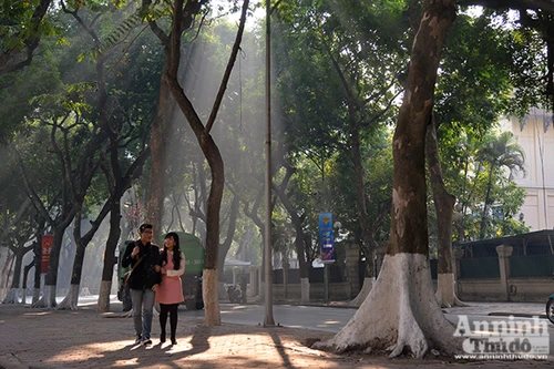 Hà Nội đẹp lạ trong nắng xuân sớm mùng một tết