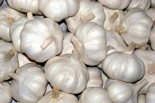 Tỏi Trung Quốc tung hoành vì giá rẻ
